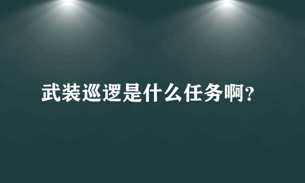 武装巡逻是什么任务啊？