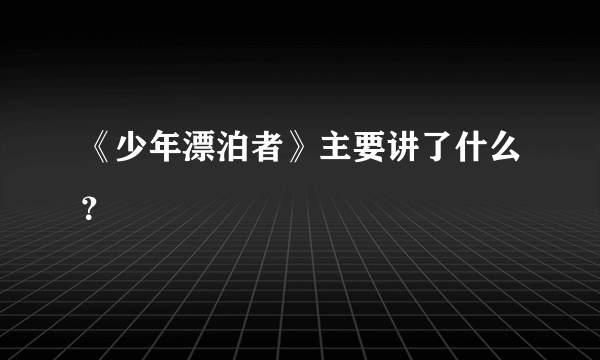 《少年漂泊者》主要讲了什么？