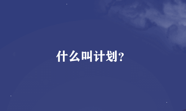 什么叫计划？