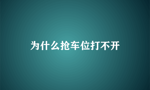 为什么抢车位打不开