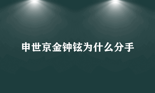 申世京金钟铉为什么分手