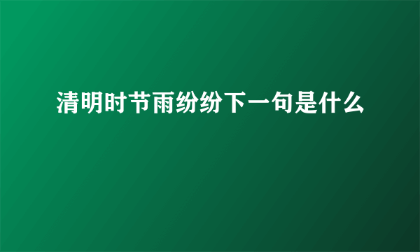 清明时节雨纷纷下一句是什么