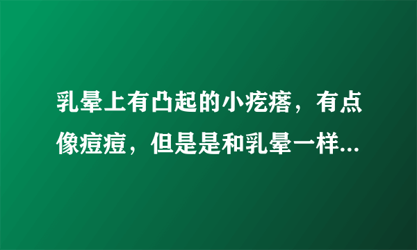 乳晕上有凸起的小疙瘩，有点像痘痘，但是是和乳晕一样的颜色，是什么？怎么回事啊？