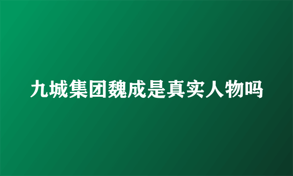 九城集团魏成是真实人物吗