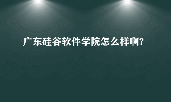 广东硅谷软件学院怎么样啊?