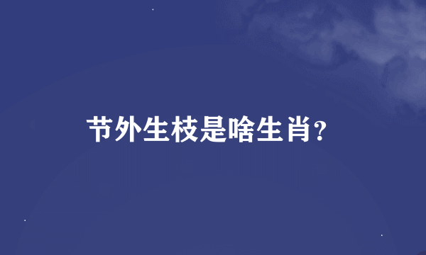 节外生枝是啥生肖？