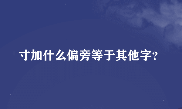 寸加什么偏旁等于其他字？