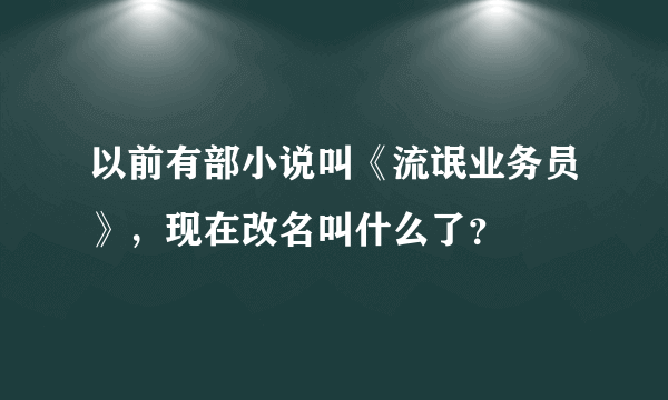 以前有部小说叫《流氓业务员》，现在改名叫什么了？