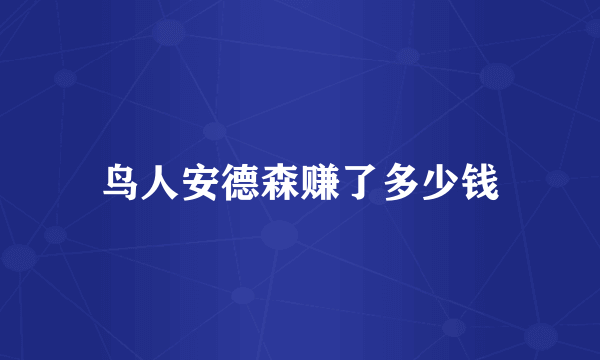 鸟人安德森赚了多少钱