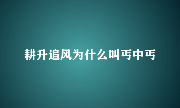 耕升追风为什么叫丐中丐