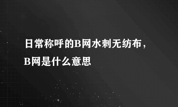 日常称呼的B网水刺无纺布，B网是什么意思