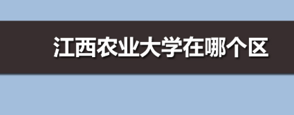 江西农业大学在南昌哪个区