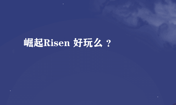 崛起Risen 好玩么 ？