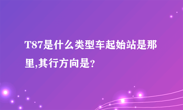 T87是什么类型车起始站是那里,其行方向是？