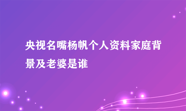 央视名嘴杨帆个人资料家庭背景及老婆是谁