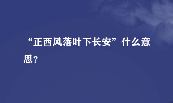 “正西风落叶下长安”什么意思？