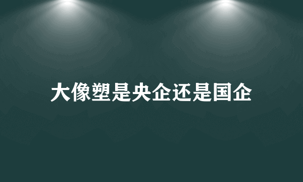 大像塑是央企还是国企