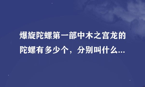 爆旋陀螺第一部中木之宫龙的陀螺有多少个，分别叫什么名字，要快