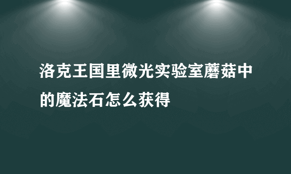 洛克王国里微光实验室蘑菇中的魔法石怎么获得