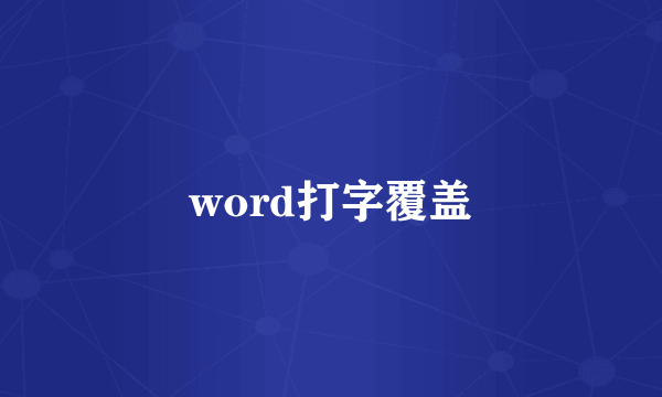 word打字覆盖