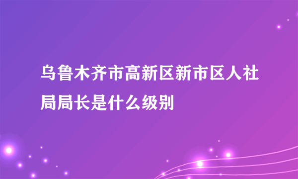 乌鲁木齐市高新区新市区人社局局长是什么级别