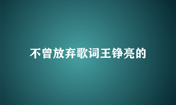 不曾放弃歌词王铮亮的