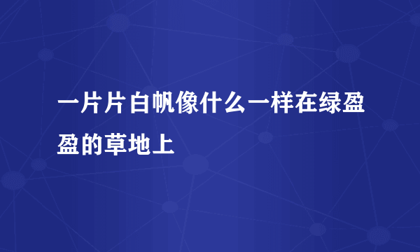 一片片白帆像什么一样在绿盈盈的草地上