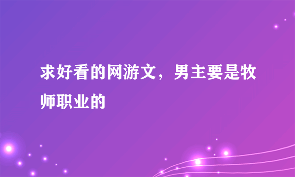 求好看的网游文，男主要是牧师职业的