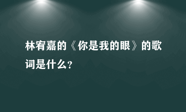 林宥嘉的《你是我的眼》的歌词是什么？