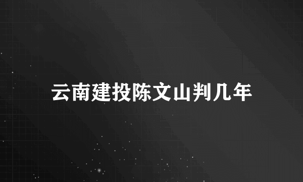 云南建投陈文山判几年