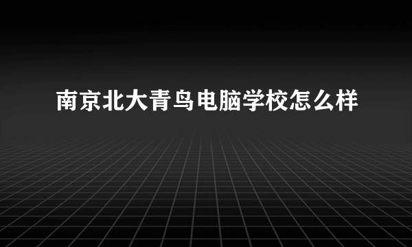 南京北大青鸟电脑学校怎么样