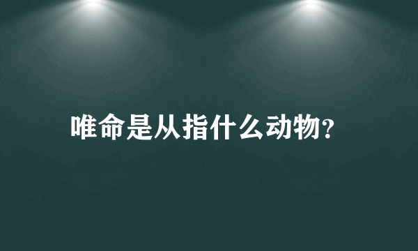 唯命是从指什么动物？