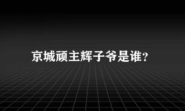 京城顽主辉子爷是谁？