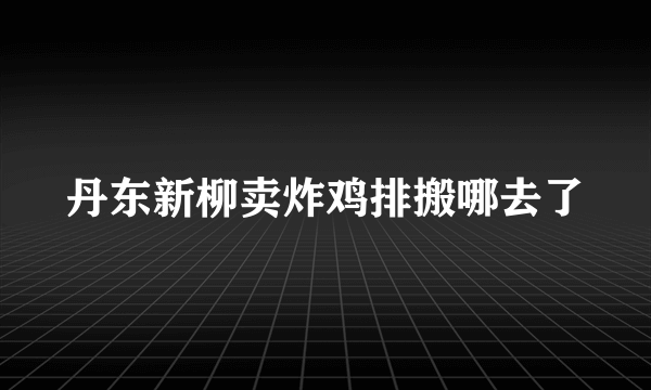 丹东新柳卖炸鸡排搬哪去了