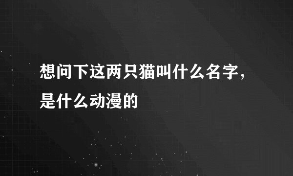 想问下这两只猫叫什么名字，是什么动漫的