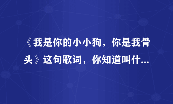 《我是你的小小狗，你是我骨头》这句歌词，你知道叫什么名吗？