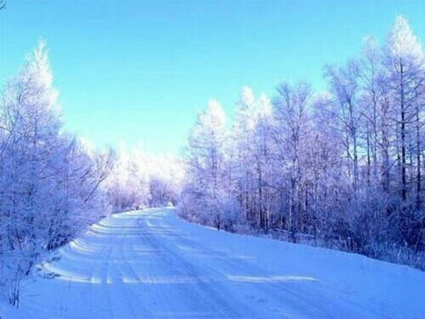 吉林女子手机掉落被大爷踢到雪堆埋藏，大爷为何这么做？