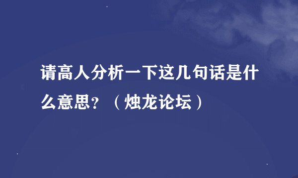 请高人分析一下这几句话是什么意思？（烛龙论坛）