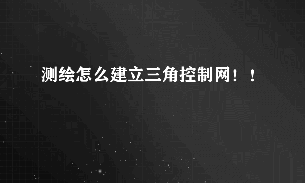 测绘怎么建立三角控制网！！