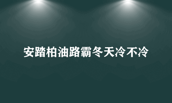 安踏柏油路霸冬天冷不冷