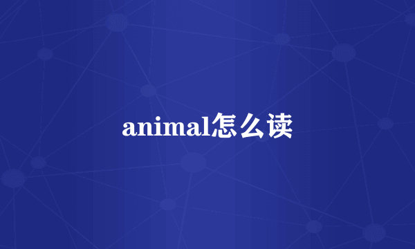 animal怎么读