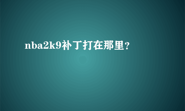 nba2k9补丁打在那里？