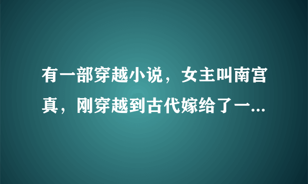 有一部穿越小说，女主叫南宫真，刚穿越到古代嫁给了一个皇子，求小说名字。