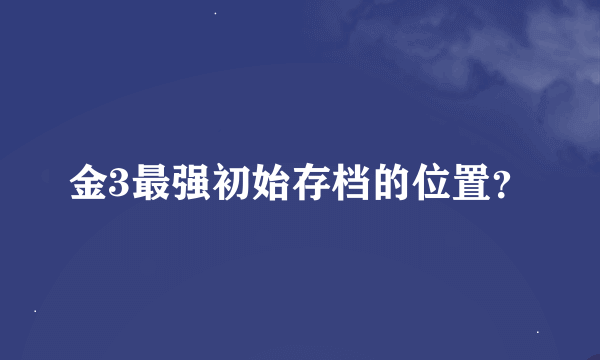 金3最强初始存档的位置？