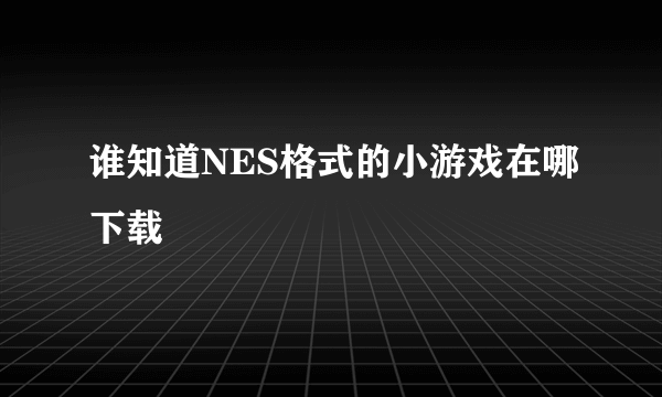 谁知道NES格式的小游戏在哪下载