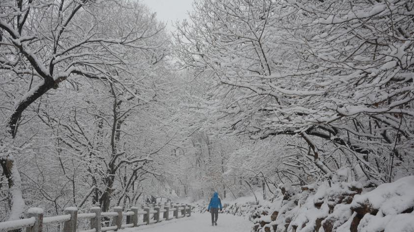 吉林女子手机掉落被大爷踢到雪堆埋藏，大爷为何这么做？