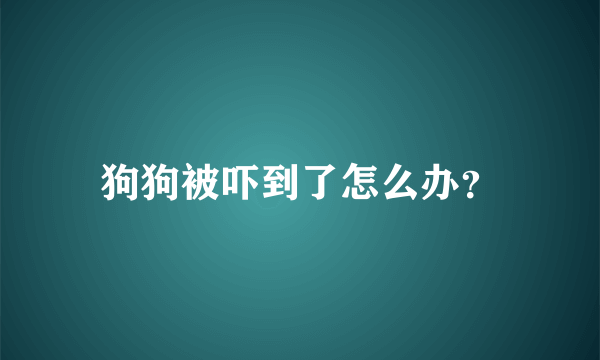 狗狗被吓到了怎么办？