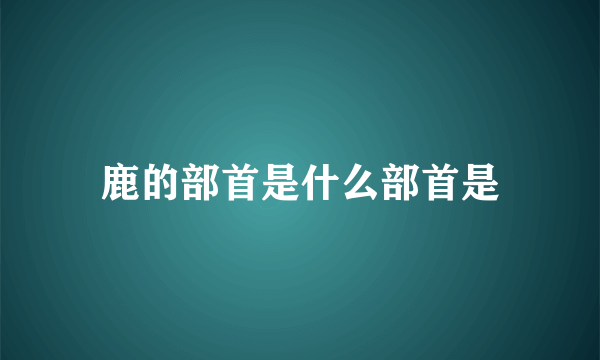 鹿的部首是什么部首是