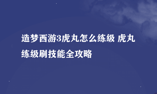 造梦西游3虎丸怎么练级 虎丸练级刷技能全攻略