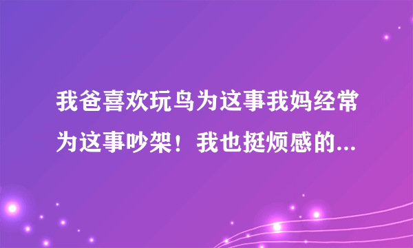 我爸喜欢玩鸟为这事我妈经常为这事吵架！我也挺烦感的有什么办法能让那几个鸟慢性死亡。